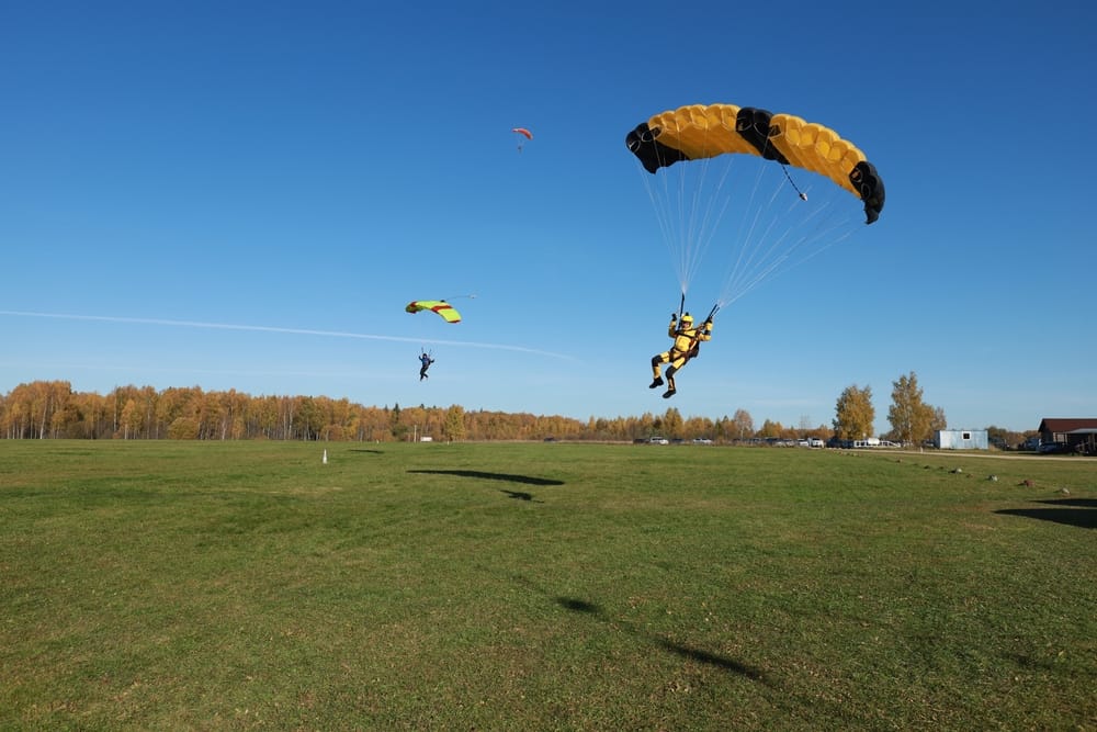 Two skydivers landing on a field on a bright day.